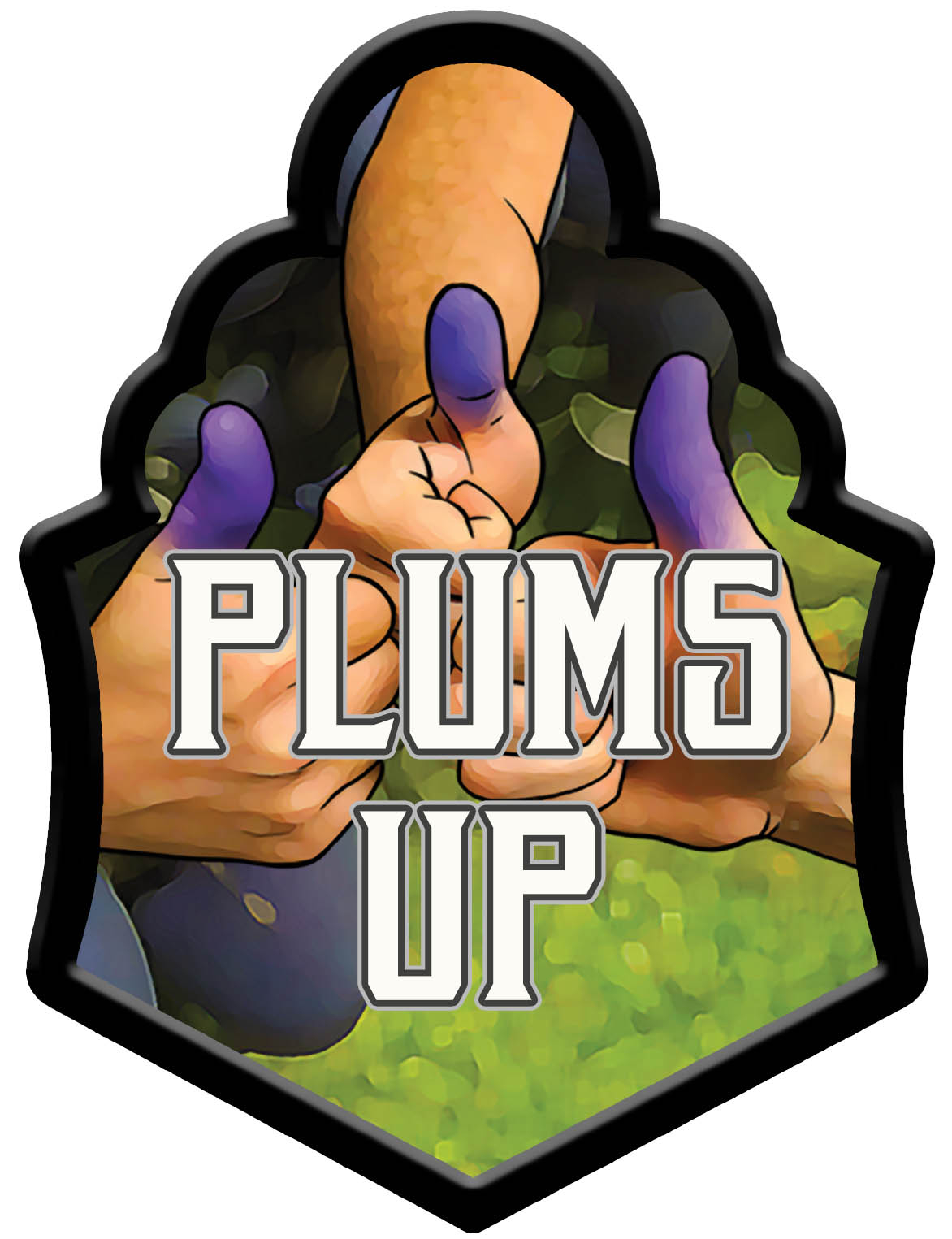 Plums Up - Belgian Strong Ale w/ Plum & Cacao Nibs